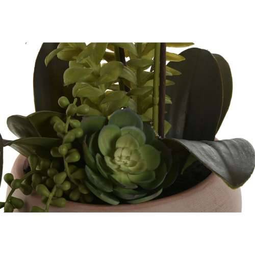 Ukrasna Biljka Home ESPRIT Polietilen Papir-maše 40 X 35 X 52 cm (2 kom.) Cijena