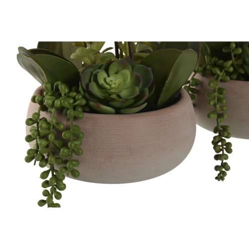 Ukrasna Biljka Home ESPRIT Polietilen Papir-maše 40 X 35 X 52 cm (2 kom.) Cijena
