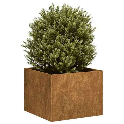 Sadilica boja hrđe 40x40x30 cm od pohabanog čelika - Otporni čelik 40 x 40 x 30 cm 1 Cijena