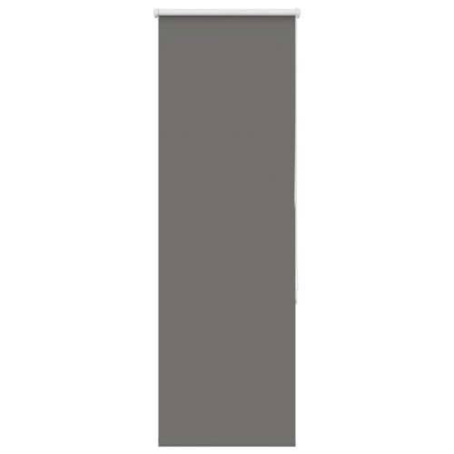 Rolo zavjesa Blackout siva 55x130 cm Širina tkanine 50,7 cm - Siva 55 cm 130 cm Cijena