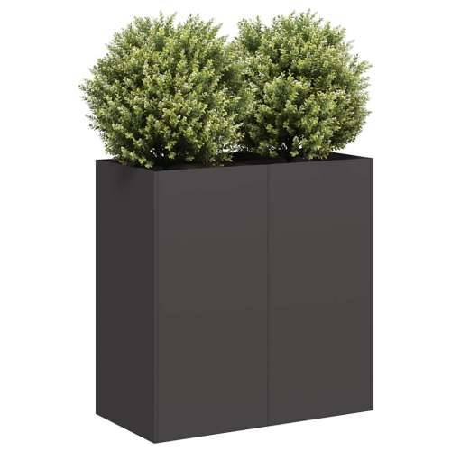 Sadilica crna 80x40x80 cm od hladno valjanog čelika - Crna 80 x 40 x 80 cm 1 Cijena