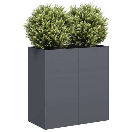 Sadilica antracit 80x40x80 cm od hladno valjanog čelika - Antracit 80 x 40 x 80 cm 1 Cijena
