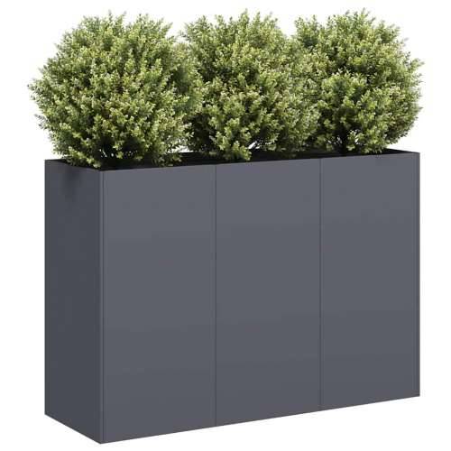 Sadilica antracit 120x40x80 cm od hladno valjanog čelika - Antracit 120 x 40 x 80 cm 1 Cijena