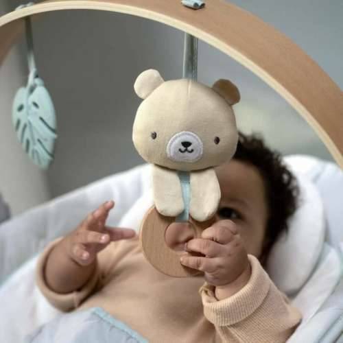 Ležaljka za Bebe Ingenuity Cijena