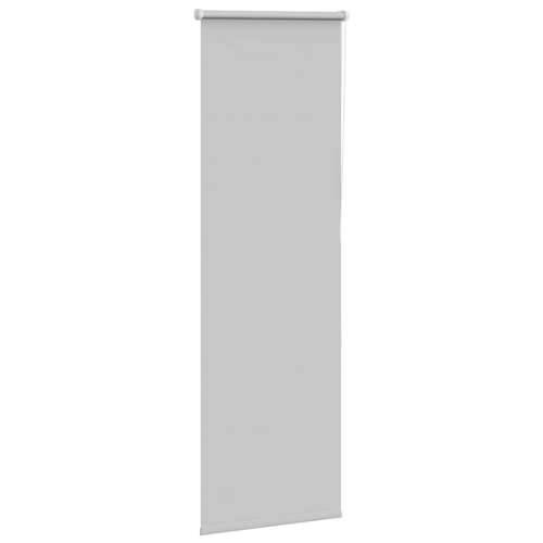 Rolo zavjesa Blackout svijetlo siva 55x175 cm Širina tkanine - Svjetlosiva 55 cm 175 cm Cijena
