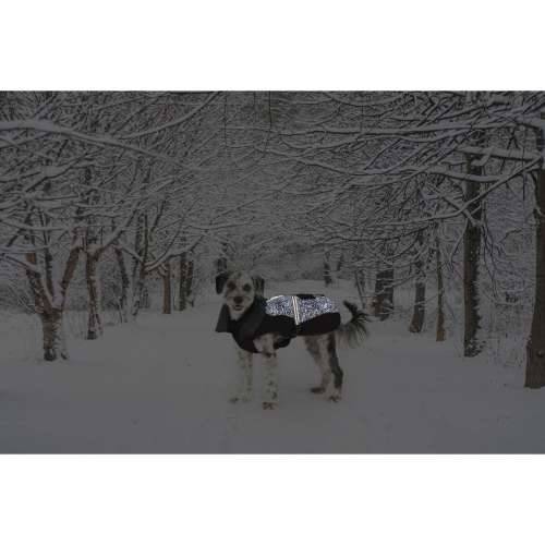 Kaput za pse Dog Gone Smart Crna 45 cm Cijena
