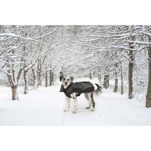 Kaput za pse Dog Gone Smart Crna 60 cm Cijena