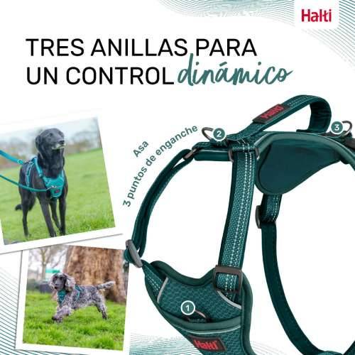 Orma za pse Company of Animals Turkizno M 35-55 cm Cijena