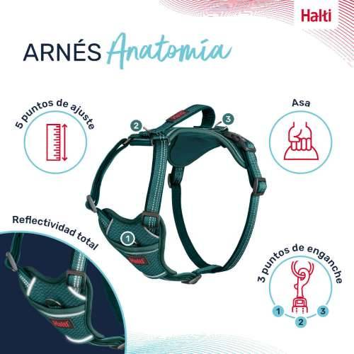 Orma za pse Company of Animals Turkizno M 35-55 cm Cijena