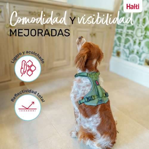 Orma za pse Company of Animals Zelena XS 20-32 cm Cijena