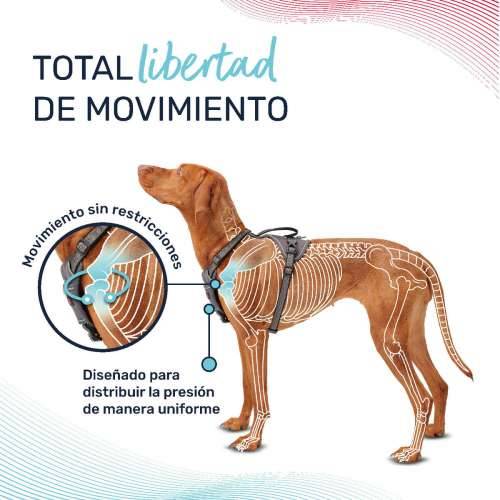 Orma za pse Company of Animals Zelena XL 50-78 cm Cijena