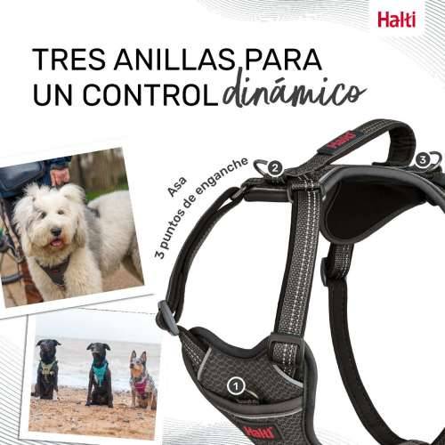 Orma za pse Company of Animals Siva L 42-65 cm Cijena