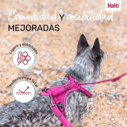 Orma za pse Company of Animals Bordo S 28-42 cm Cijena