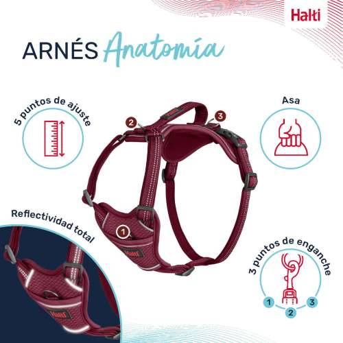 Orma za pse Company of Animals Bordo S 28-42 cm Cijena