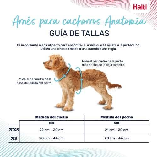 Orma za pse Company of Animals Siva XXS 22-30 cm Cijena