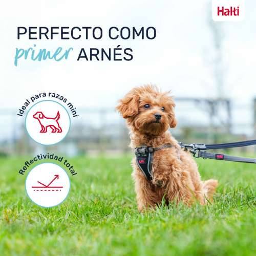 Orma za pse Company of Animals Siva XXS 22-30 cm Cijena