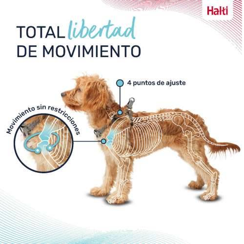 Orma za pse Company of Animals Siva XS 28-44 cm Cijena