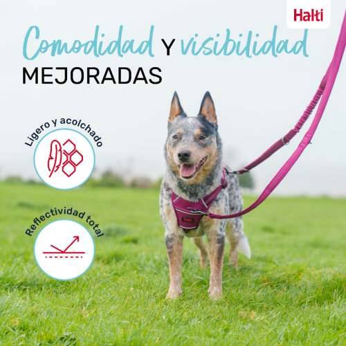 Povodac za pse Company of Animals Bordo S Cijena