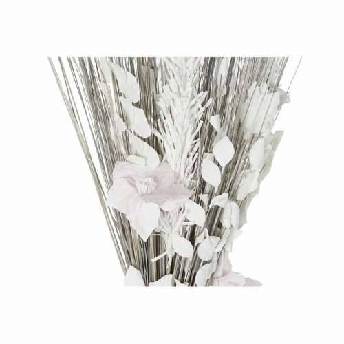buket DKD Home Decor 8424001847440 Ziedi Siva Bijela Suhi cvijet (40 x 40 x 150 cm) (2 kom.) Cijena