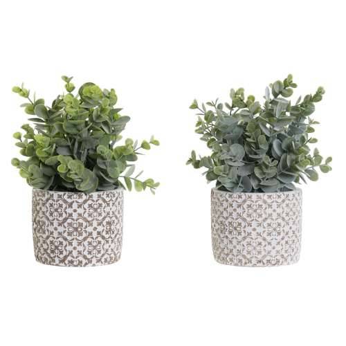 Ukrasna Biljka DKD Home Decor Vrč Zelena Smola PE (10,5 x 10,5 x 24 cm) (2 kom.) Cijena