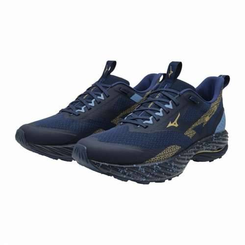 Muške Tenisice Mizuno Wave Rider Tt 2 Plava Cijena