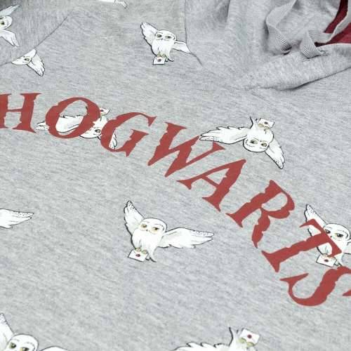 Unisex Majica s Kapuljačom Harry Potter Siva Cijena