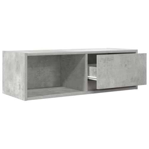 TV ormarić boja betona 80x31x25,5 cm od konstruiranog drva - Beton siva 1 80 cm Cijena