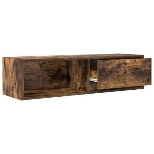 TV ormarić boja dimljenog hrasta 100x31x25,5 cm - Dimljeni hrast 1 100 cm Cijena