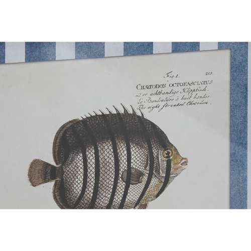 Slika Home ESPRIT Plava Riba 40 X 2,5 X 55 cm (4 kom.) Cijena