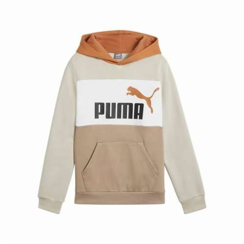 Unisex Majica s Kapuljačom Puma Essentials Block Smeđa Cijena
