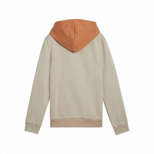 Unisex Majica s Kapuljačom Puma Essentials Block Smeđa Cijena