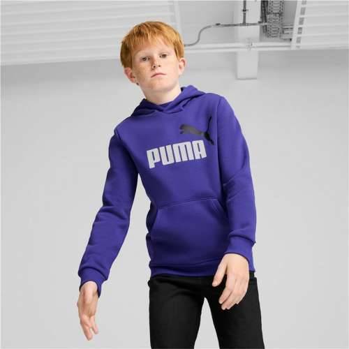 Unisex Majica s Kapuljačom Puma Essentials+ 2 Col Big Logo Plava Cijena