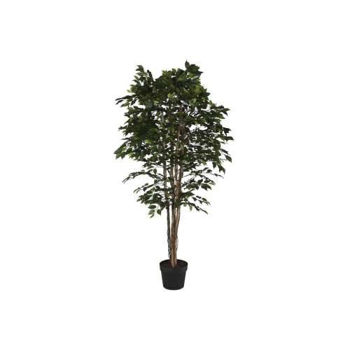 drvo Home ESPRIT Polietilen Smokva 100 x 100 x 210 cm Cijena