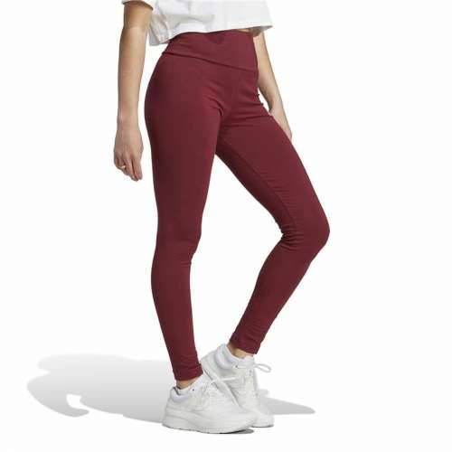 Ženske Sportske Tajice Adidas Granatna Cijena