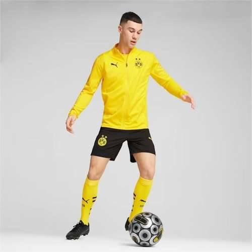 Muška Sportska Jakna Puma Borussia Dortmund Rumena Cijena