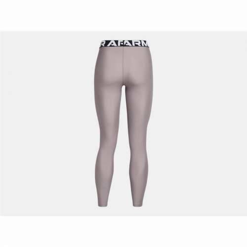 Ženske Sportske Tajice Under Armour Hg Authentics Siva Cijena