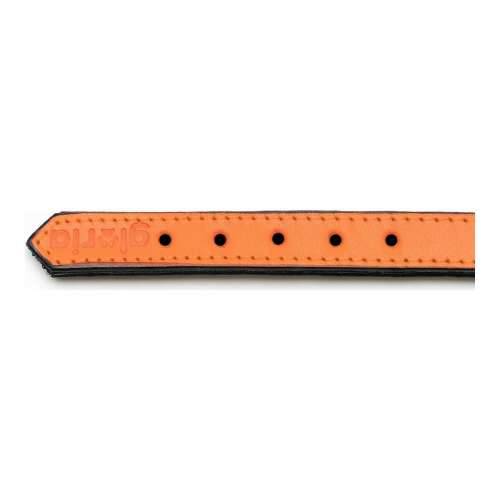 Ogrlica za pse Gloria S podstavom Oranžna (45 x 2 cm) Cijena