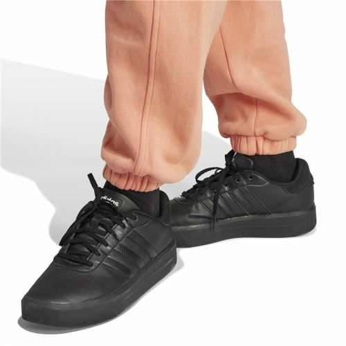 Hlače za Odrasle Adidas All Szn Bež Dama Cijena
