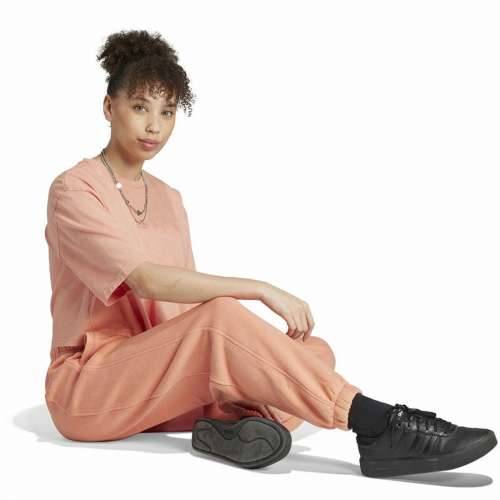 Hlače za Odrasle Adidas All Szn Bež Dama Cijena