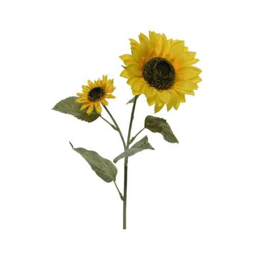 Buketi Everlands Suncokret 10 x 15 x 72 cm Cijena