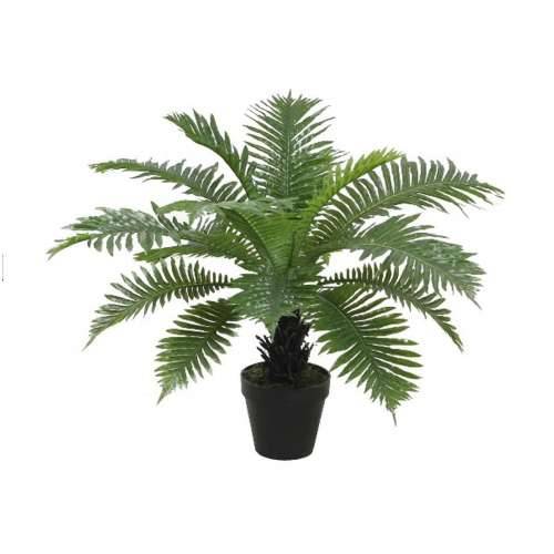 Ukrasna Biljka Home ESPRIT PVC paprat 80 x 80 x 60 cm Cijena
