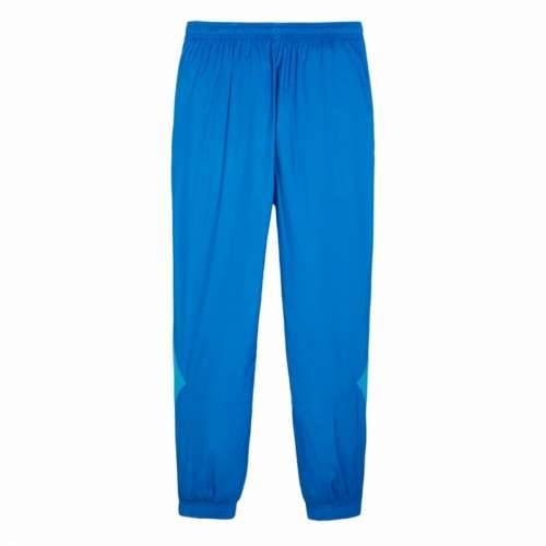 Hlače za Nogometni Trening za Odrasle Puma 774055 19 Moški Cijena
