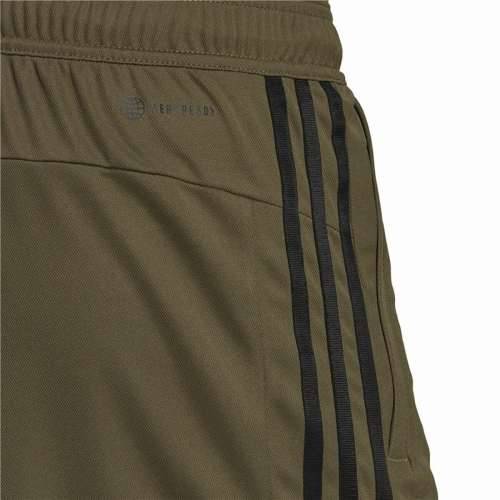 Muške Sportske Kratke Hlače Adidas Piqué Maslina Cijena