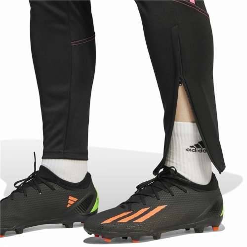Hlače za Nogometni Trening za Odrasle Adidas Tiro23 Cb Tr Moški Cijena