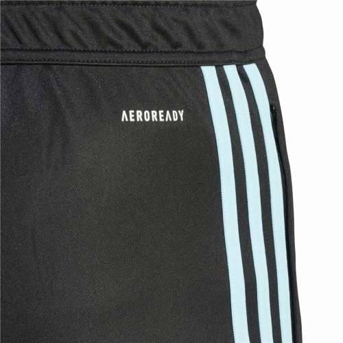 Hlače za Nogometni Trening za Odrasle Adidas Tiro23 Cb Tr Moški Cijena