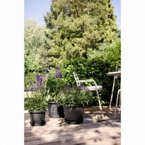 Posuda Elho Crna Antracitna 35 x 34,5 x 26 cm Cijena