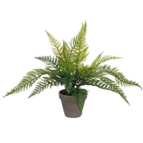 Ukrasna Biljka Mica Decorations 40 x 11,5 cm Keramika PVC paprat Cijena