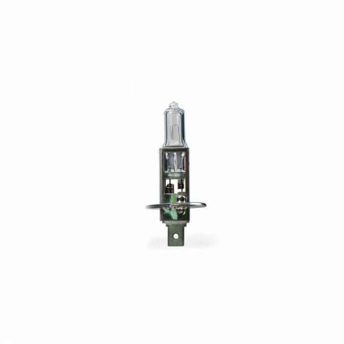 Žarulja M-Tech Z101 55 W H1 Halogen 12 V Cijena