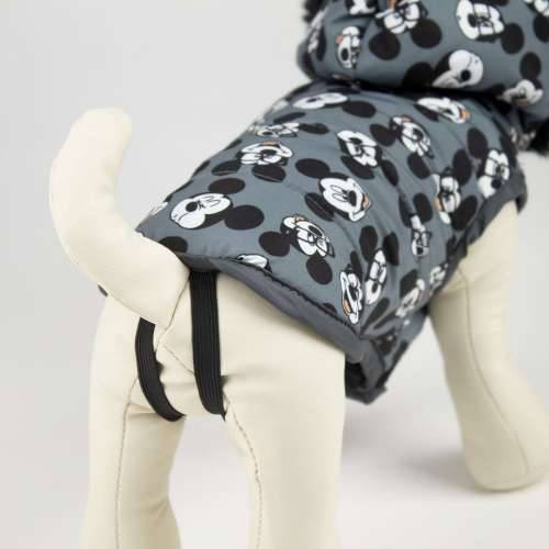 Kaput za pse Mickey Mouse Cijena
