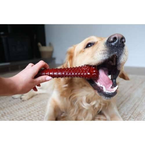 Kost Nylabone Smeđa Bacon XL Cijena
